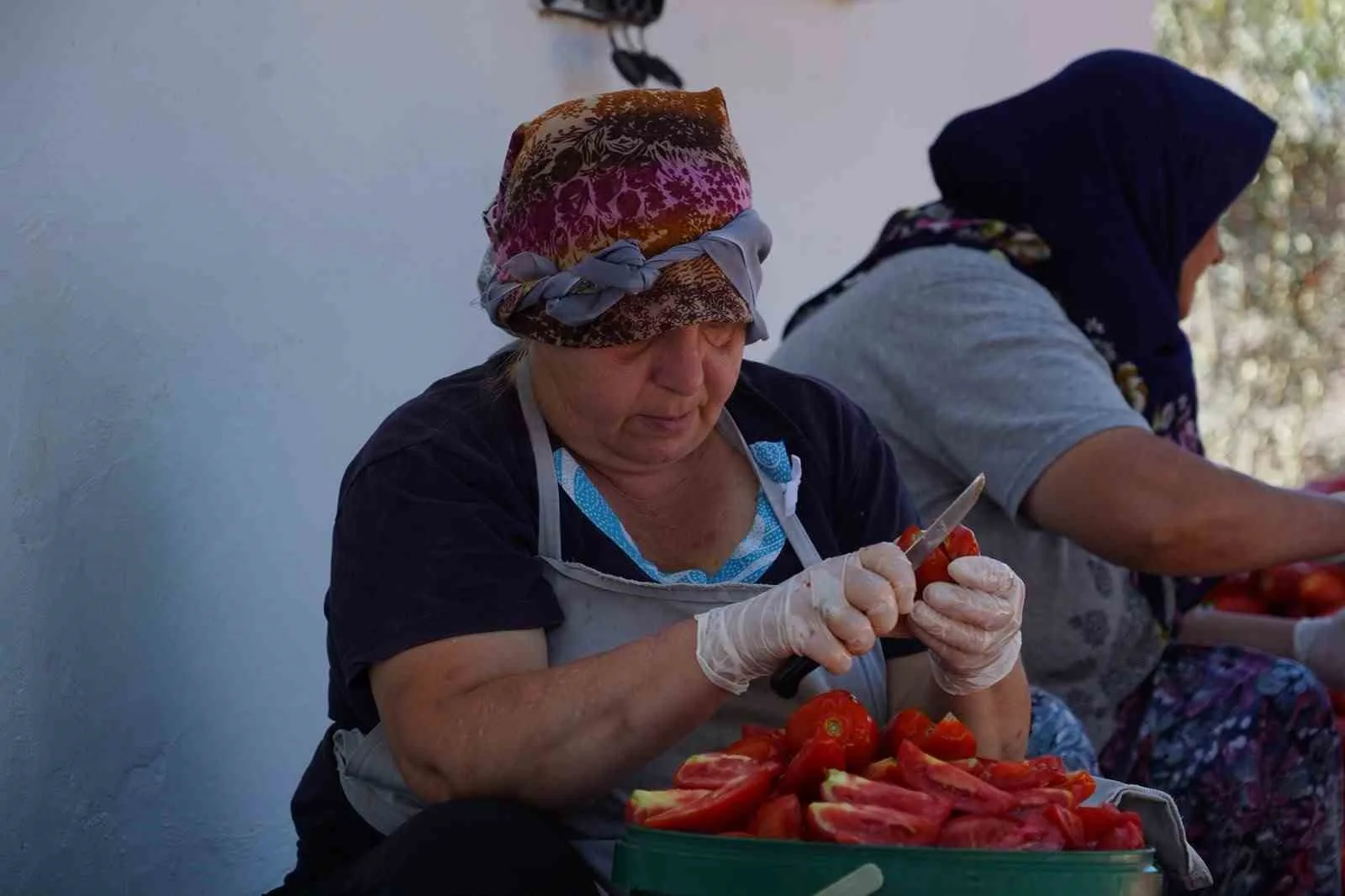 Ayvalık’ta güneş ile lezzet buluşuyor