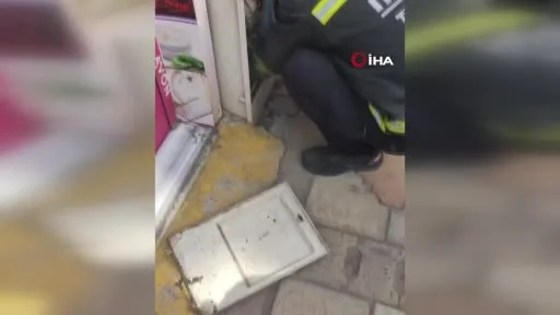 Tekirdağ’da doğalgaz kutusuna giren yılanı kedi fark etti