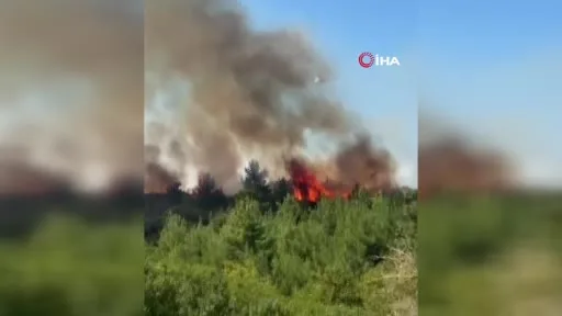 Lapseki’de tarım arazisinde yangın