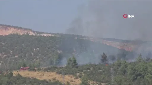 Bilecik’te ormanlık alanda yangın başladı