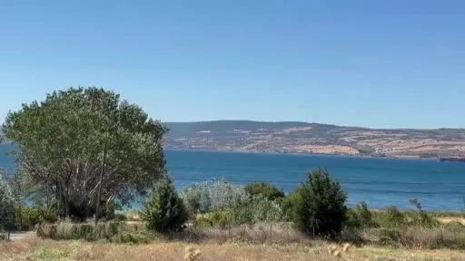 Lapseki’de tarım arazisindeki yangına müdahale devam ediyor