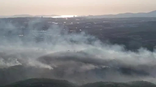 Gebze’deki orman yangını havadan görüntülendi