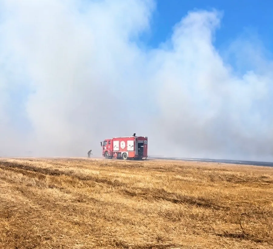 Tekirdağ’da anız yangını