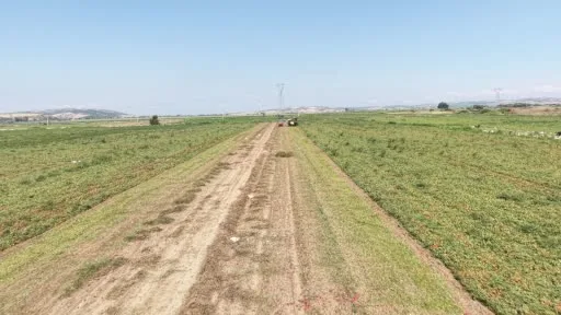 Kapya biberde fabrikaların fiyat düşürmek için ürün alımını geciktirdiği iddiası