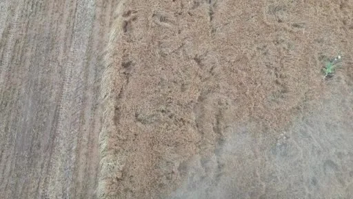 TİGEM’in 2026 karında patlama bekleniyor: 1,6 milyar liraya ulaşması tahmin ediliyor
