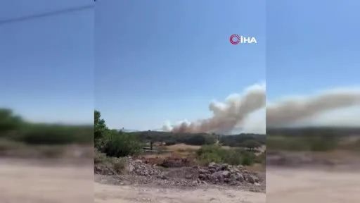 Ayvacık’ta otluk alanda yangın çıktı