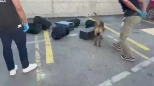 Narkotik köpeği valizde 21 bin sentetik ecza buldu