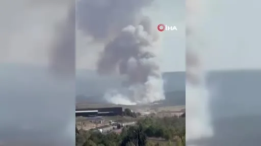 Bursa’da orman yangını...Havadan karadan yoğun müdahale başladı