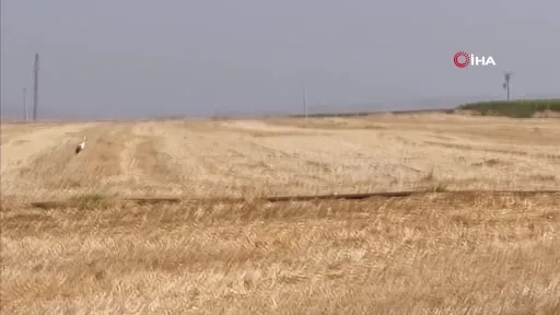 Elektrik akımına kapılan eşinin başından 5 gün ayrılmadı
