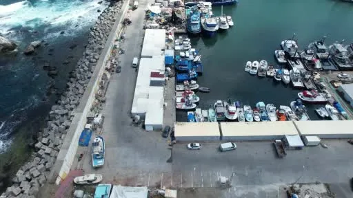 Balıkçılar yeni sezona hazır: Rumeli Feneri’ndeki balıkçılar bu yıl palamuttan umutlu