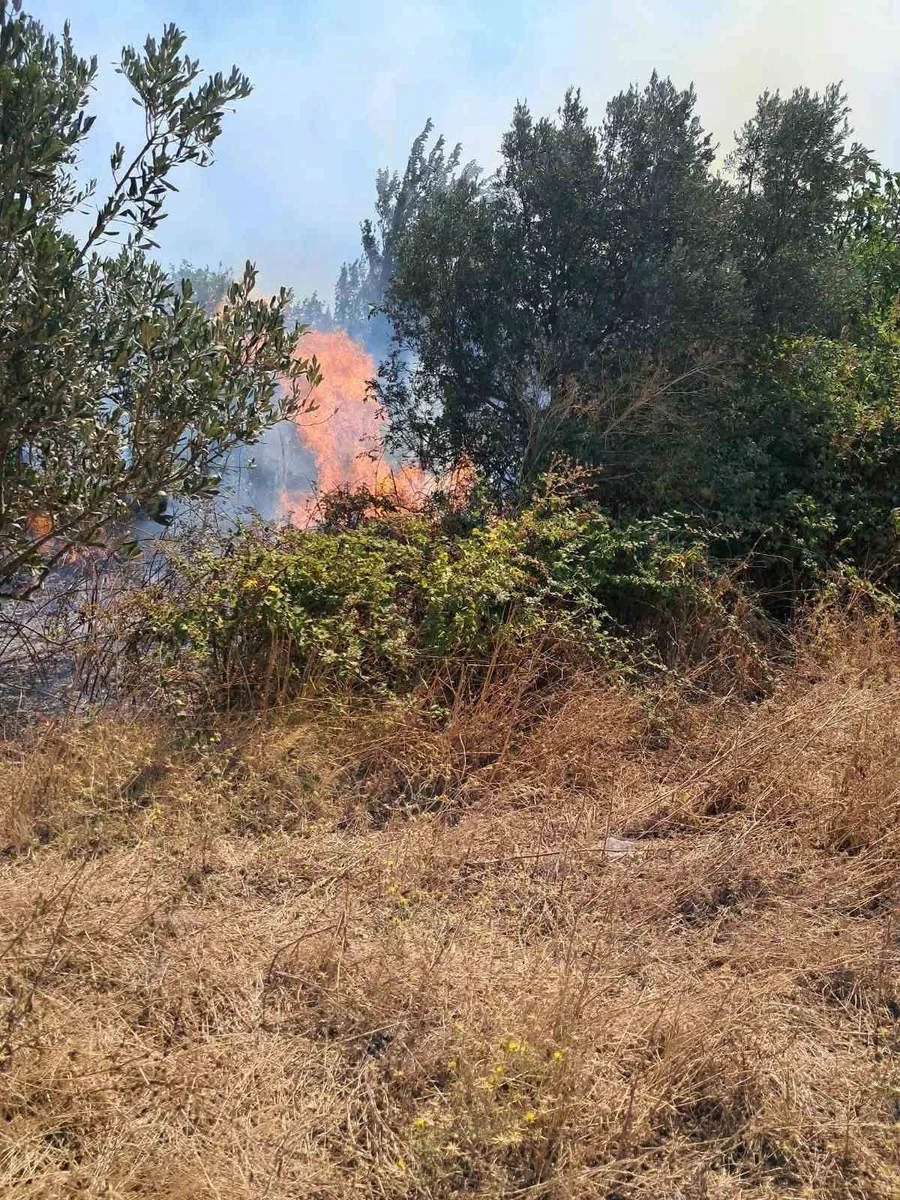 Bursa’da iki ayrı ot yangını kontrol altına alındı
