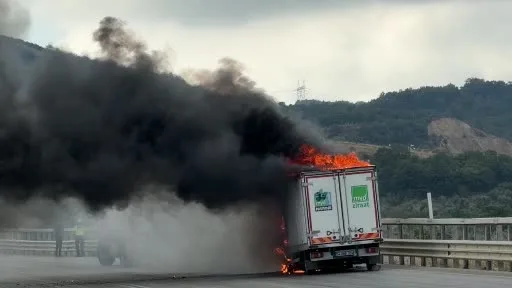 Bursa’da seyir halindeki kamyonet alevlere teslim oldu