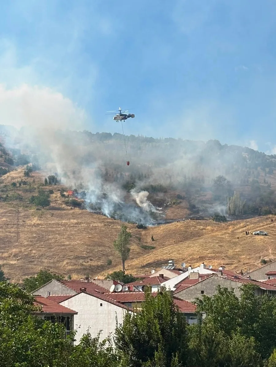 Bozüyük’te orman yangını kontrol altına alındı