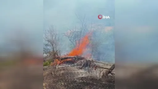 Kestel’de tarım arazisinde başlayan yangın ormana sıçradı