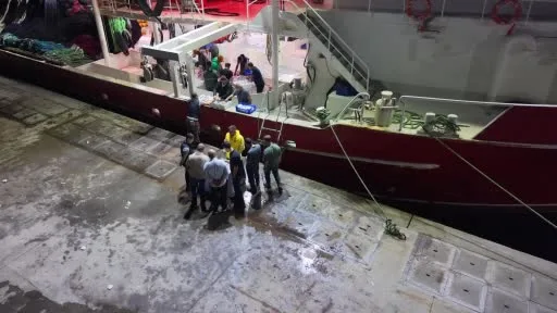 Av yasağının bitmesiyle İstanbul’da sezonun ilk balıkları bu gece avlandı
