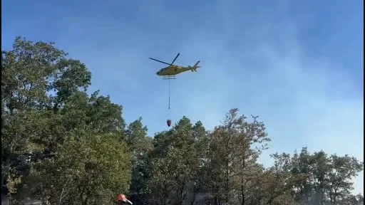 Karamürsel-İznik sınırında orman yangını