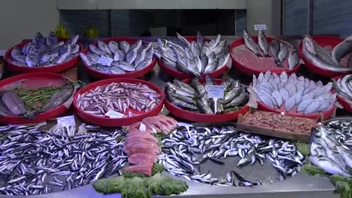 Bu sene vatandaşlar palamuda doyacak