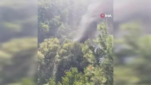 Bursa’da facia vatandaşlar tarafından önlendi: O anlar kamerada