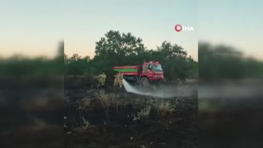 Otluk alanda başlayan yangın ormana sıçradı