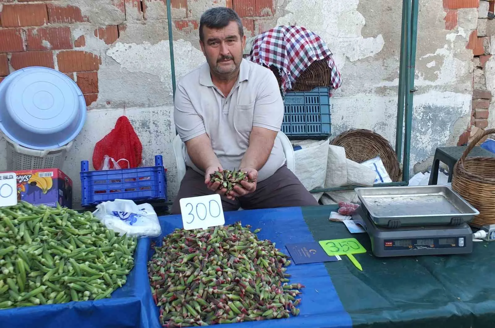 Burhaniye’de kınalı bamya ilgi gördü