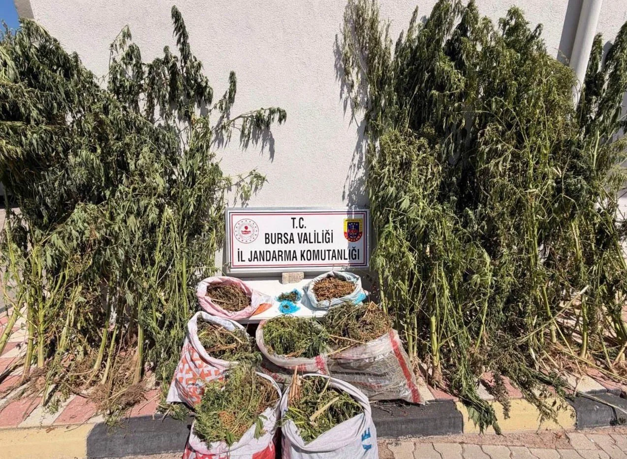 Bursa’da uyuşturucu operasyonu: 22 kilo 675 gram esrar ele geçirildi