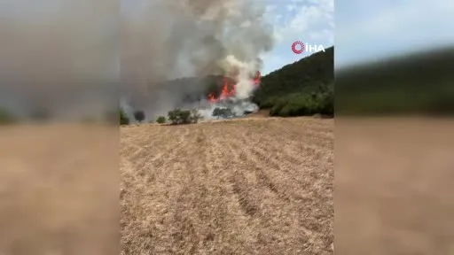 Sındırgı’da orman yangınına havadan ve karadan müdahale sürüyor