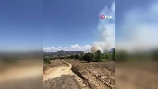 Bursa’da orman yangını...Tarım alanında başladı ormana sıçradı
