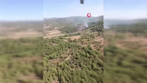 Bursa’da orman yangını: Havadan ve karadan müdahale başlatıldı