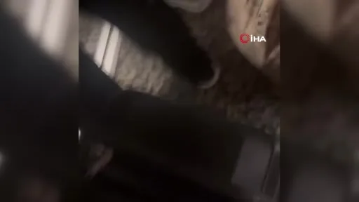 İDO deniz otobüsü Mudanya İskelesi’ne çarptı: Yolcuların panik anları kamerada