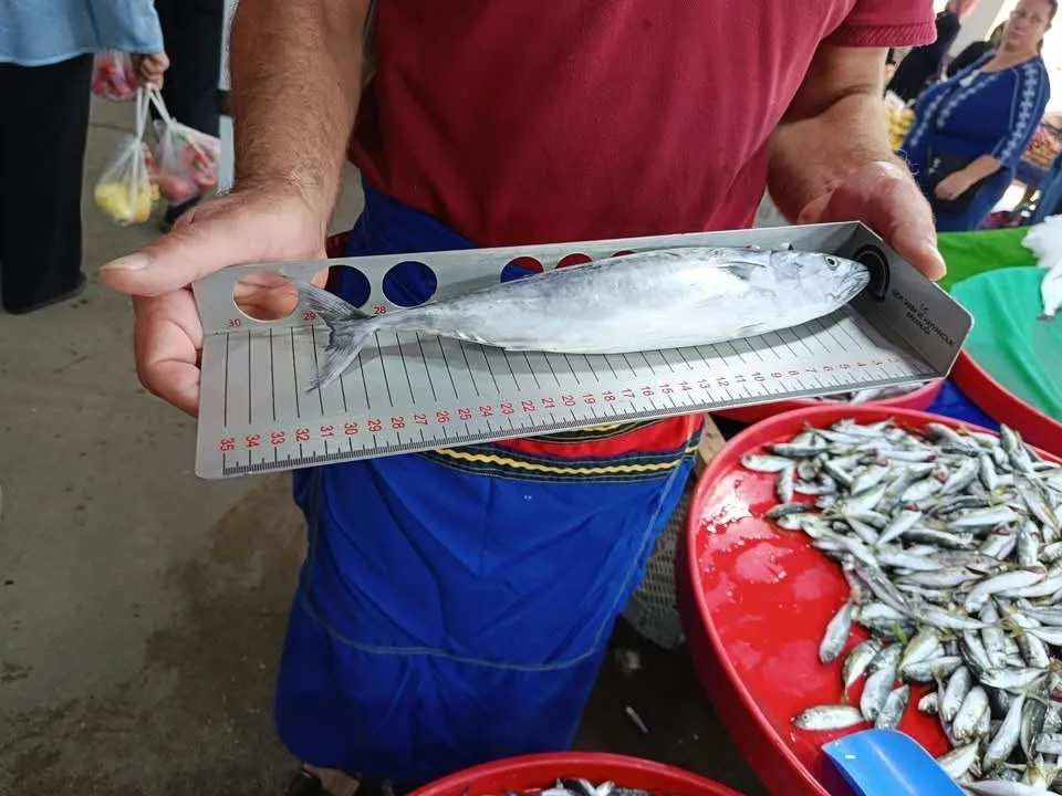 Hayrabolu’da balık tezgahlarında denetim