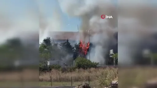 Bakırköy’de Orman Fidanlığı’ndaki otluk alanda yangın