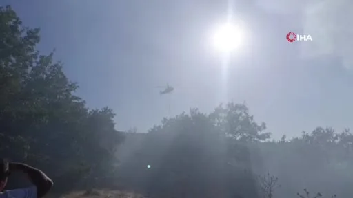 Şerbetçiotu tarlasında çıkan yangın çalılık alana sıçradı