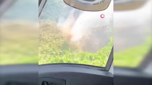 Subaşı’nda ağaçlık alanda yangın