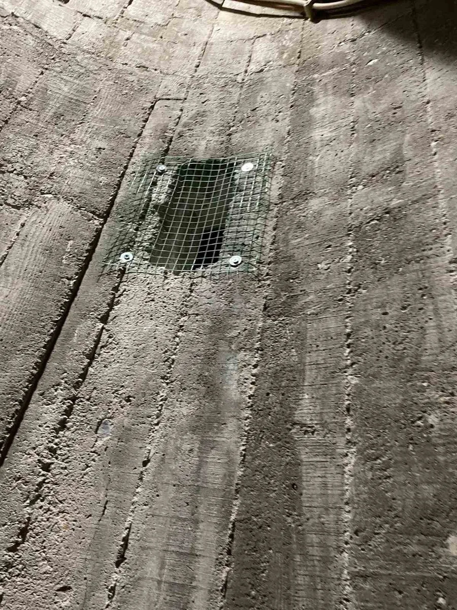Burhaniye’de çıkılmayan minareler kargalara mesken oldu