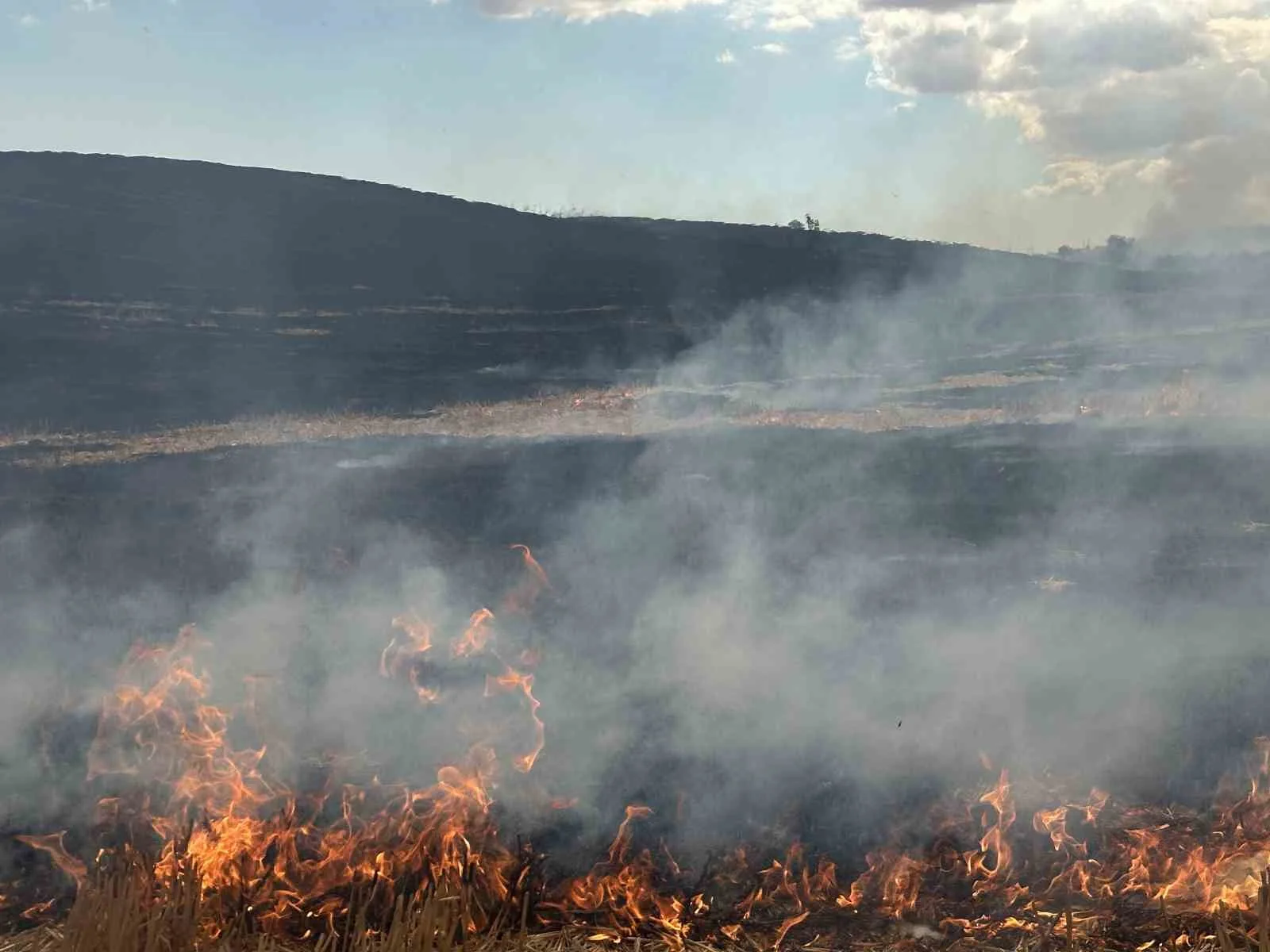 Tekirdağ’da korkutan anız yangını