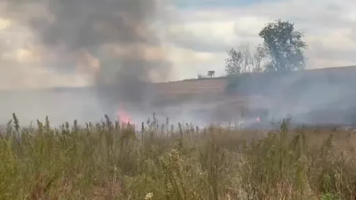 Tekirdağ’da korkutan anız yangını