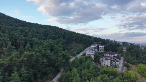 Mahallede ’Ayı’ korkusu