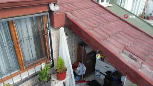 Sultangazi’de çatı katını arılar bastı: Arıların soktuğu kadın hastanelik oldu