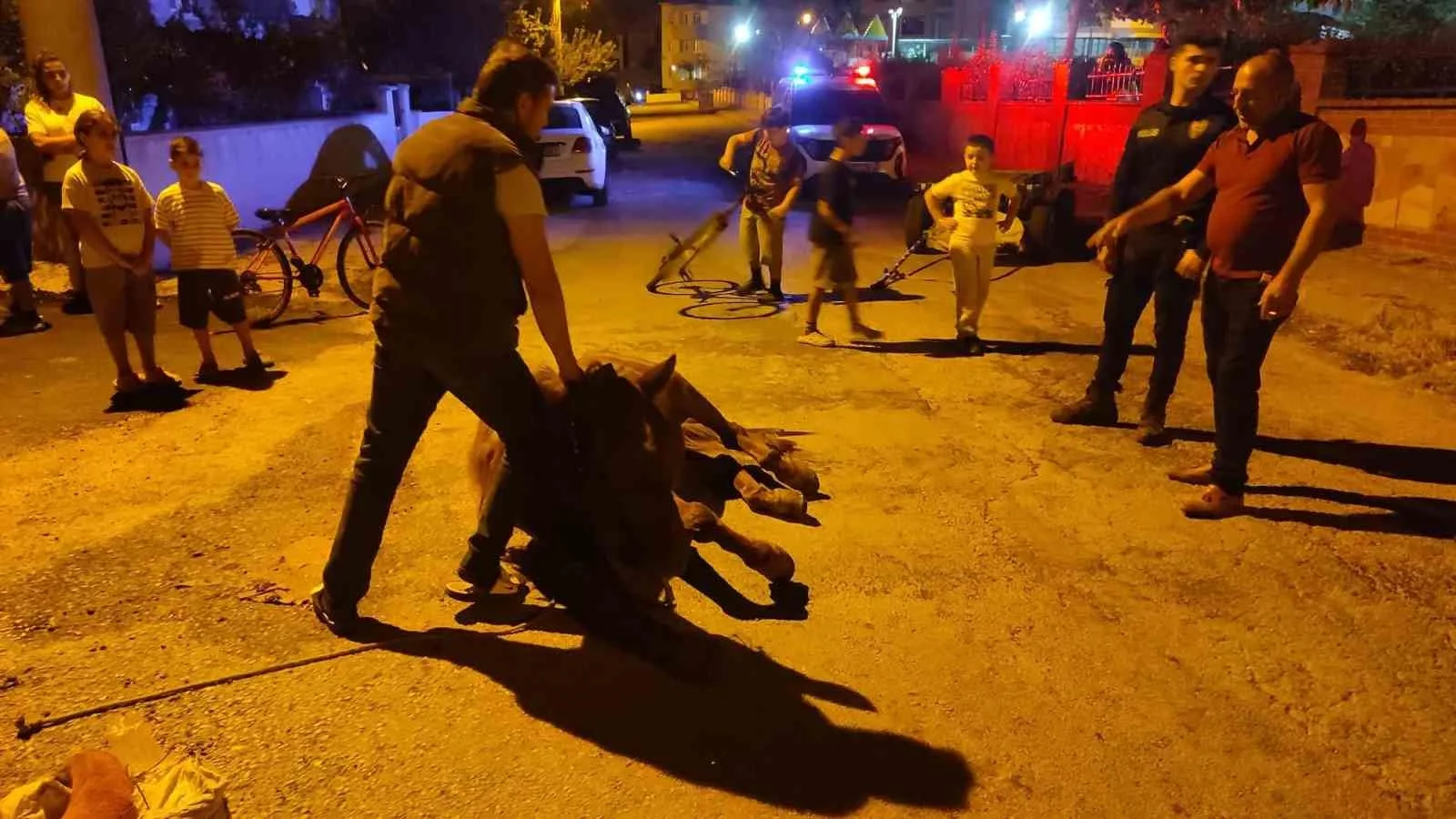 Keşan’da ata şiddet uyguladıkları iddiasıyla 2 kişi hakkında adli işlem başlatıldı