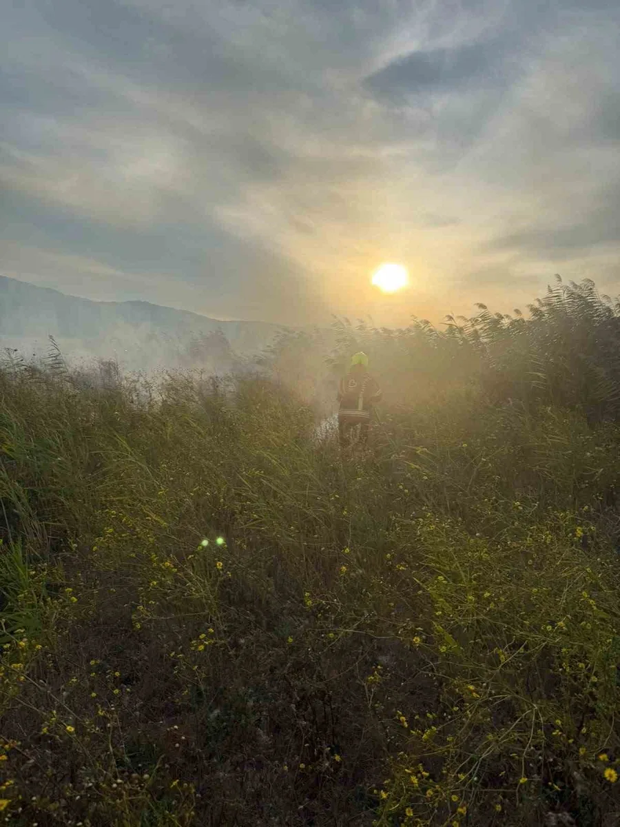 Sındırgı’da otluk alanda yangın