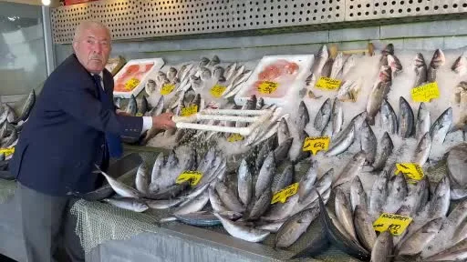 Balık sezonu bereketli başladı: Hamsi 200, palamut 100 liradan başlıyor