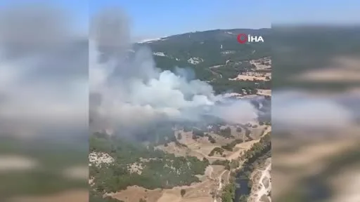 Balıkesir’de orman yangını
