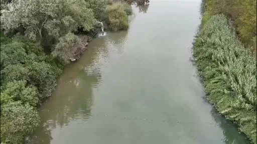 Mustafakemalpaşa Çayı’nda yeniden balık ölümleri görüldü