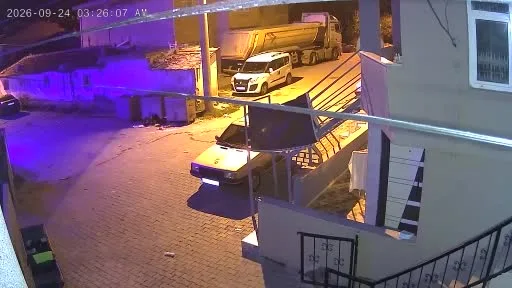 Halı hırsızlığı kamerada