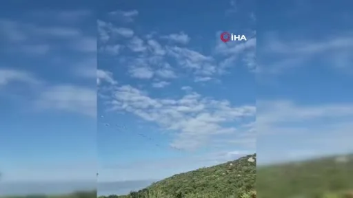 Göç eden leylek sürüsü gökyüzünde görsel şölen oluşturdu