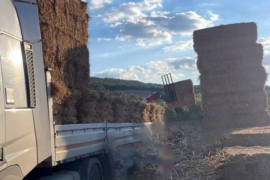 Tekirdağ’da Saman balyaları devrildi, 57 yaşındaki adam hayatını kaybetti