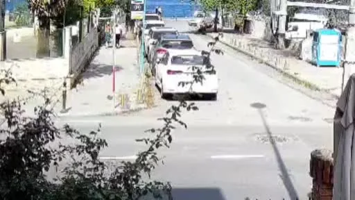Sarıyer’de başıboş köpekler vatandaşları tedirgin ediyor
