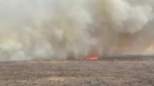 Tekirdağ’da mera yangını