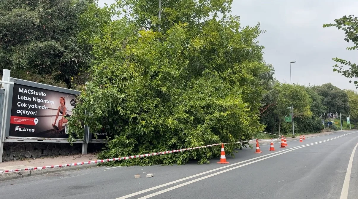İstanbul’da yağış sonrası ağaçlar devrildi, rögarlar taştı
