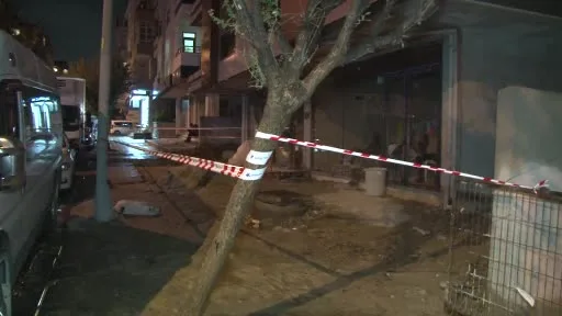 Küçükçekmece’de inşaat ile aydınlatma direği arasında elektrik akımına kapılan köpek telef oldu